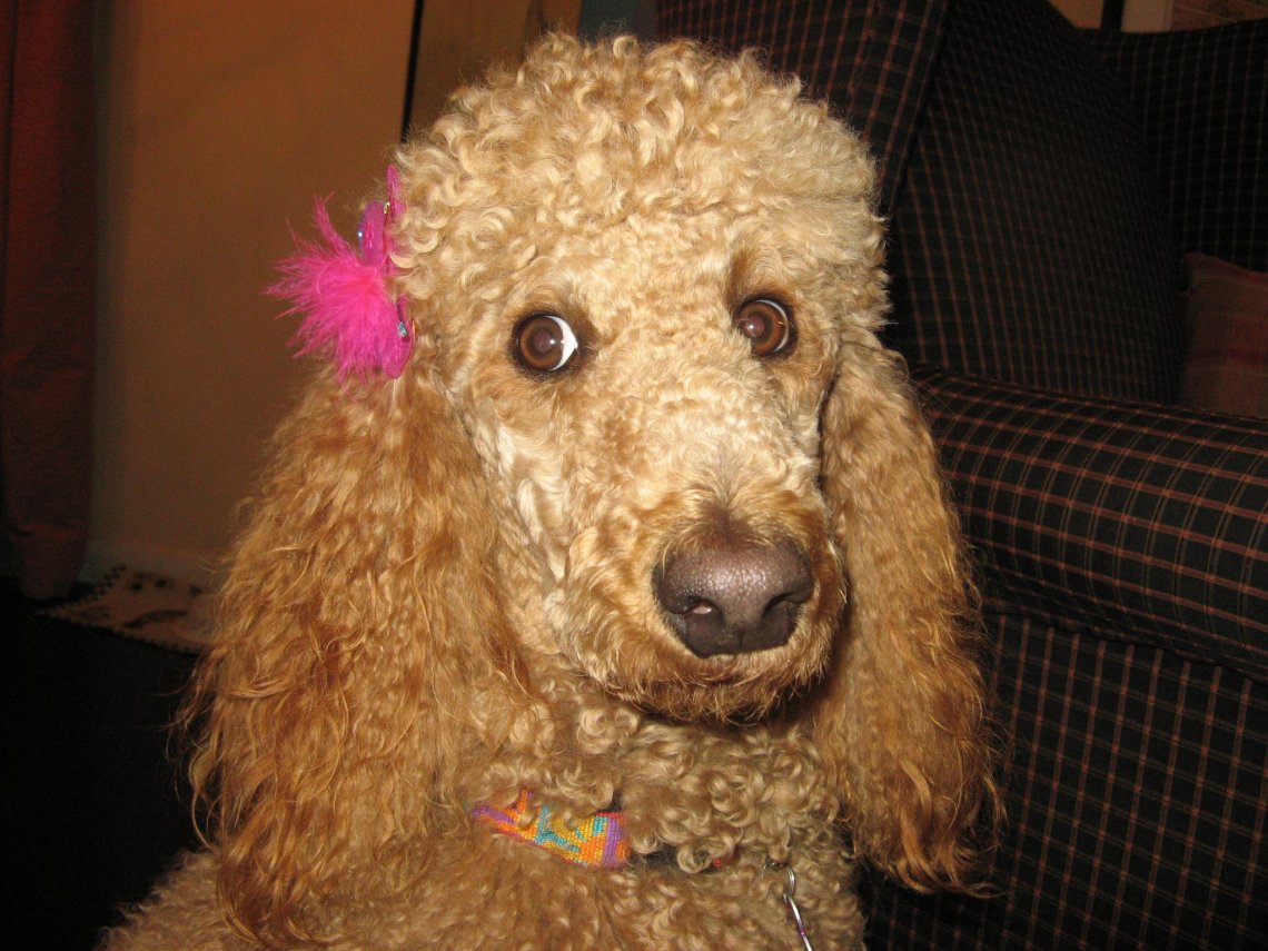 204847_10150592878135724_2311039_o